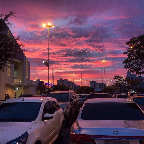 Meet your Posher, Azalea - Picture 1 of 1